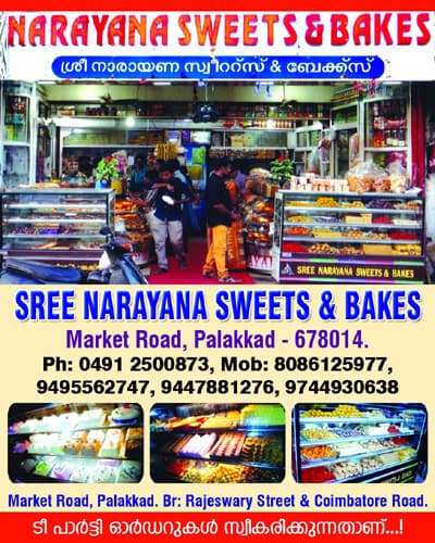 Sree Narayana