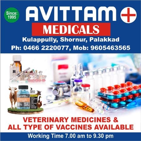 Avittam Medicals veterinary medicines Shornur, Palakkad local business directory Choiceyellowpages